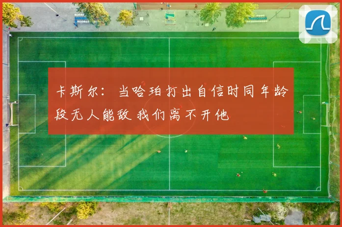 卡斯尔：当哈珀打出自信时同年龄段无人能敌 我们离不开他